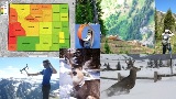Understanding Mule Deer Movement