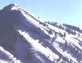 Snow Supporting Structures