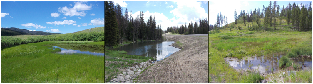 WY-1707F; RS04212.png