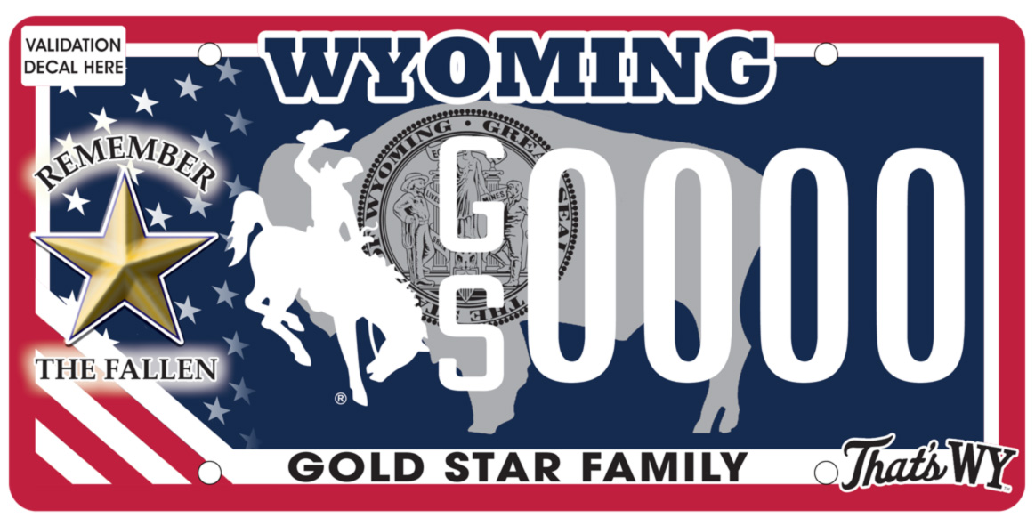 /files/live/sites/wydot/files/shared/Motor%20Vehicle%20Services/2025%20Plate%20images/2025-GS.jpg