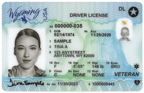 DS_BW_TinaSample_dl_front.png
