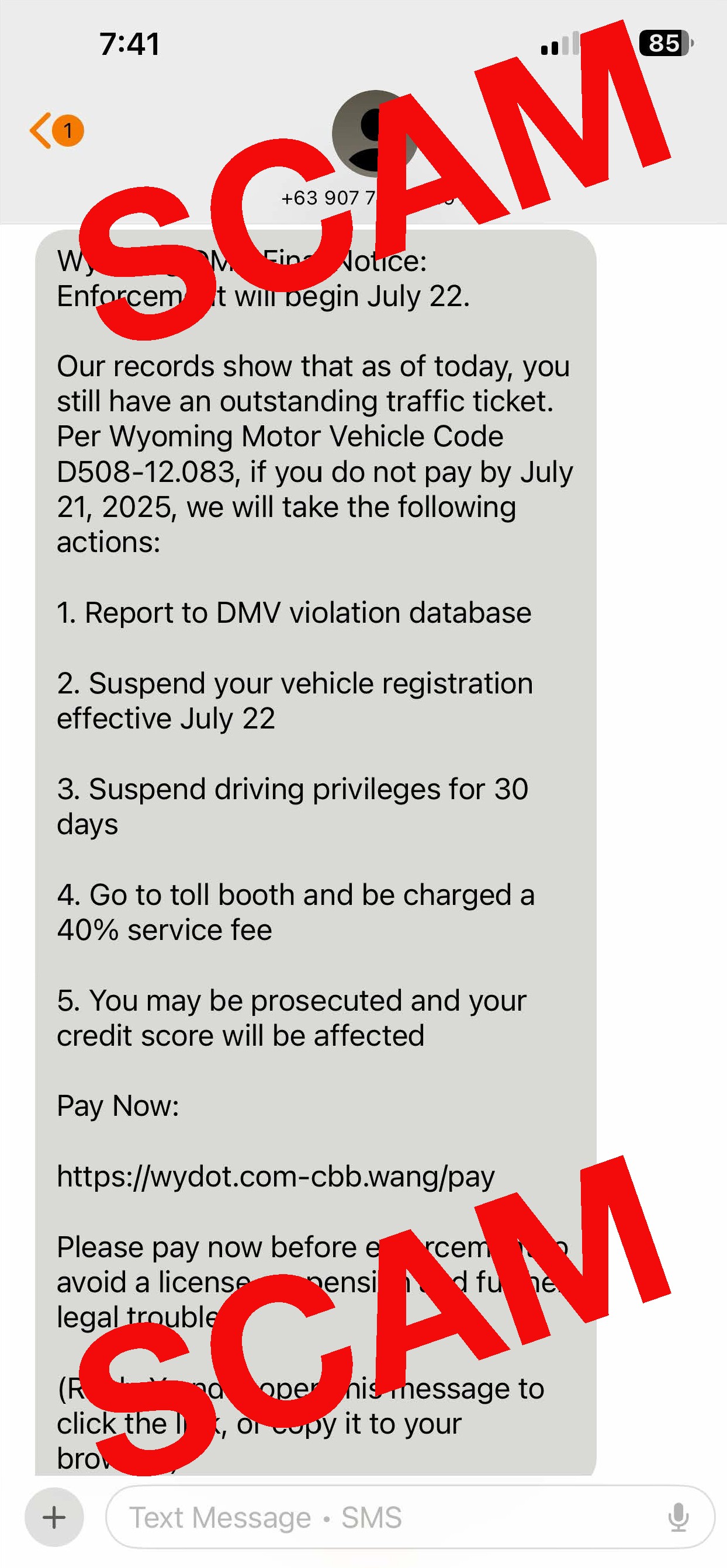 SCAM text July 2025.jpg