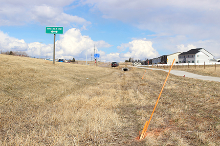 WhitneyRoadApril2019.jpg